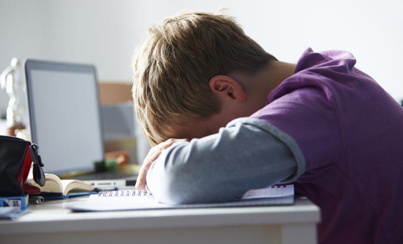giornata bullismo cyberbullismo 7 febbraio