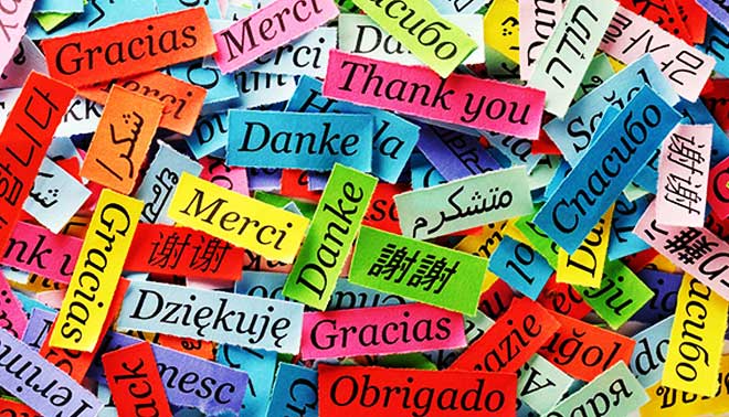 liceo linguistico
