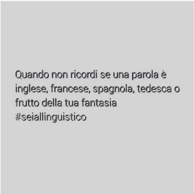 11 cose da #seiallinguistico articolo