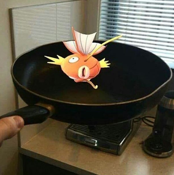 foto di pok&egrave;mon nella padella