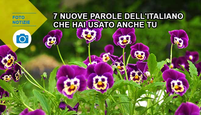foto di neologismi entrati a far parte dei dizionari