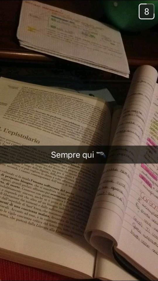 Ti riconosci in questi snap? Sei un vero maturando articolo