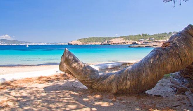  foto di Cala Bassa