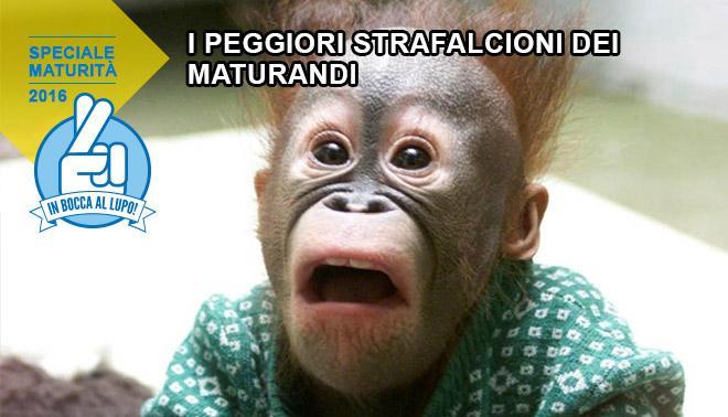 foto di strafalcioni dei maturandi 2016