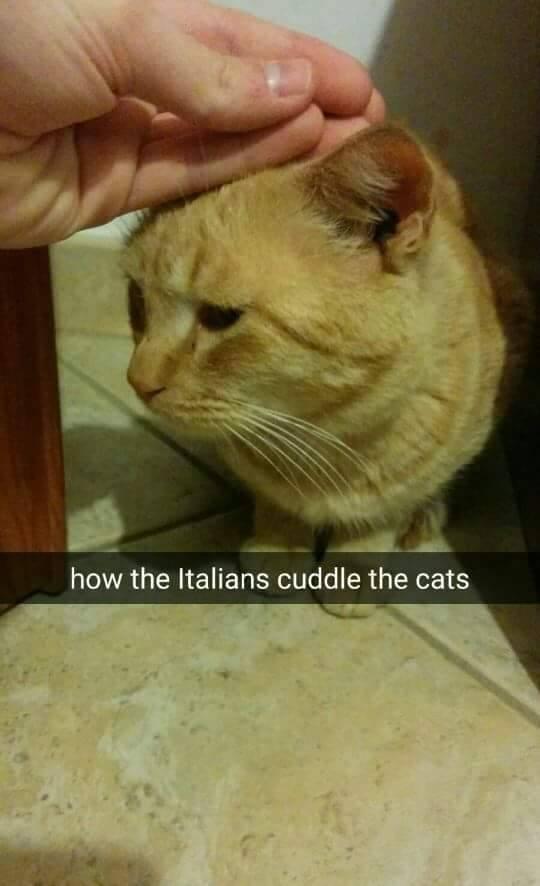 “How Italians Do Things”: i meme che prendono in giro gli italiani articolo