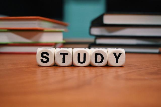 Come studiare all’Università: con la piramide di Maslow è più semplice articolo
