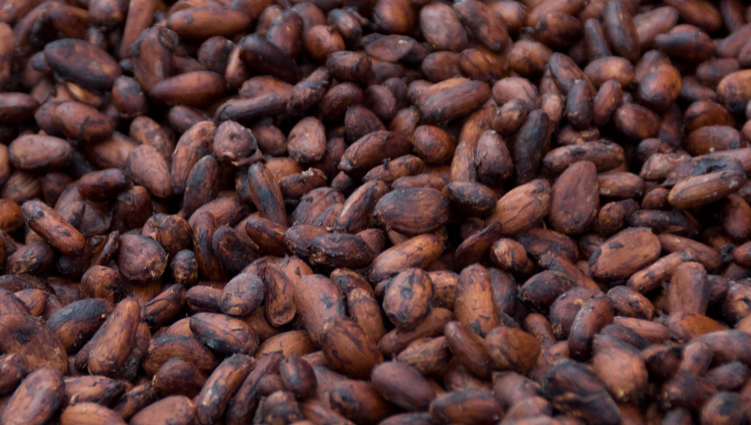 15 cose incredibili che non sapevi sul cioccolato articolo
