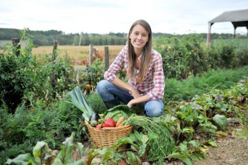 Premio Tesi di Laurea AgroInnovation Award 2017: come candidarsi, scadenze e requisiti articolo