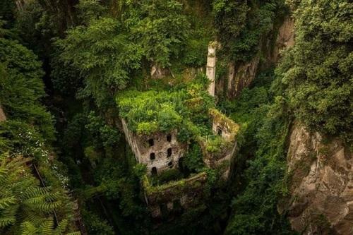 Le reazioni della natura all'azione dell'uomo in 25 foto articolo