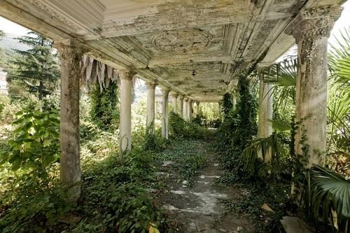 Le reazioni della natura all'azione dell'uomo in 25 foto articolo