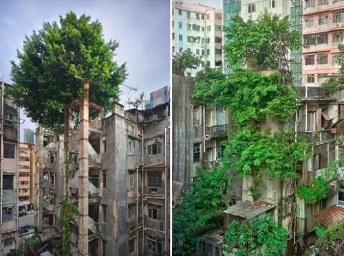 Le reazioni della natura all'azione dell'uomo in 25 foto articolo