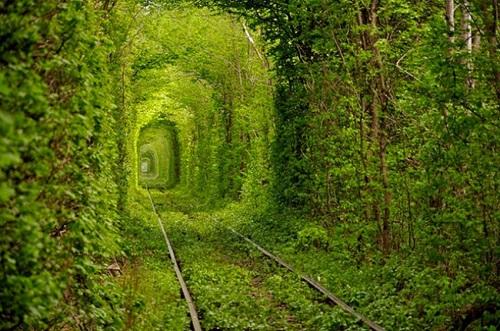 Le reazioni della natura all'azione dell'uomo in 25 foto articolo