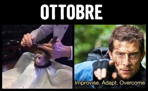 I meme più divertenti del 2017 articolo