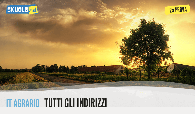 traccia e soluzione Enologia per istituto agrario
