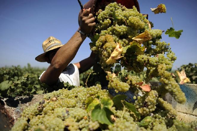 I 10 lavori destinati a sparire nei prossimi 5 anni articolo