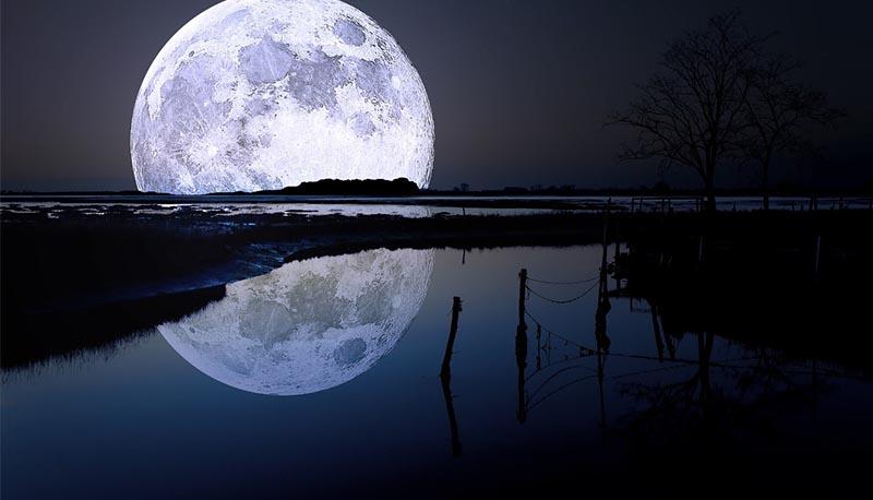 Astolfo sulla luna, analisi