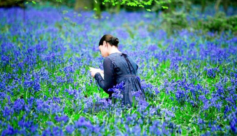 Bright Star di John Keats