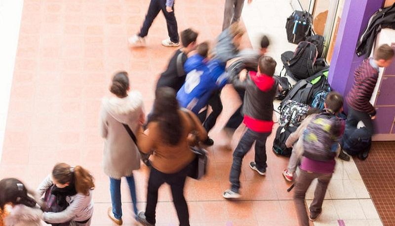 Bullismo, vandalismo, sospensioni: come scoprire "il lato oscuro" del tuo istituto
