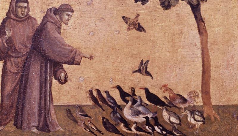 Il Cantico Delle Creature Di San Francesco D Assisi