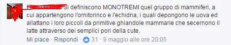 fedez e commenti social