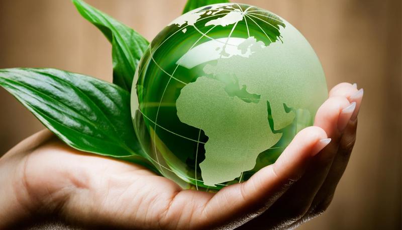 Ecologia e diritto, un legame interessante per la maturità 2017