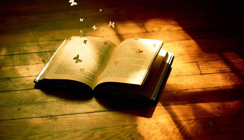 Margherita dolcevita, scheda del libro