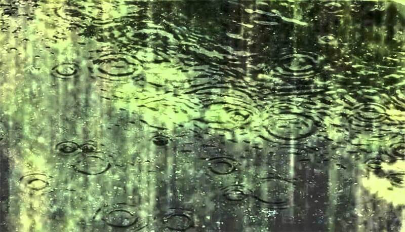descrizione de La pioggia nel pineto di D'Annunzio