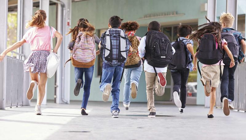 Sei uno studente delle scuole medie se.... articolo