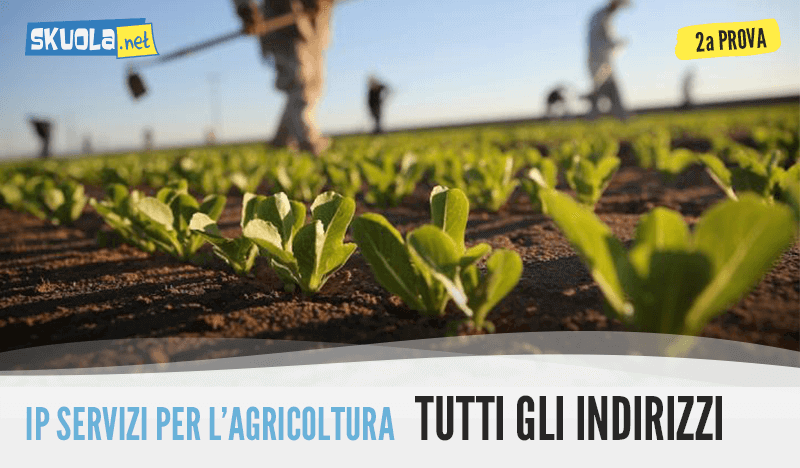 Traccia e soluzione istituto agrario economia agraria