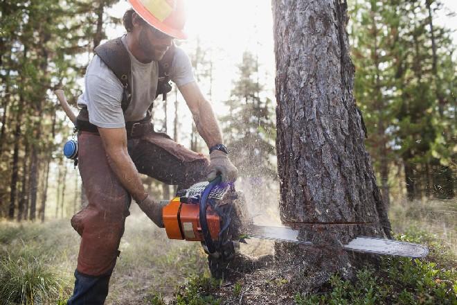 I 10 lavori destinati a sparire nei prossimi 5 anni articolo