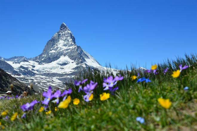  foto di zermatt