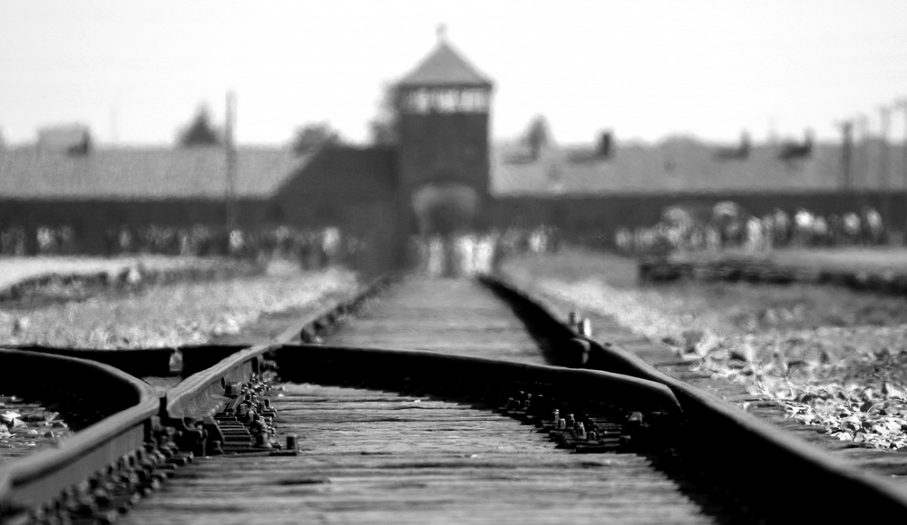 Frasi Sulla Shoah Per Non Dimenticare In Occasione Della Giornata Della Memoria 18