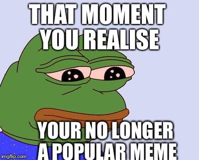 10 cose sui meme che non sapevi articolo