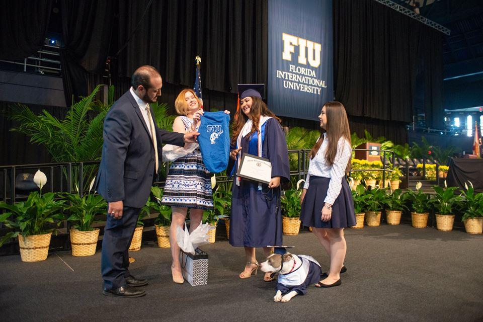 Kali, il Pit Bull premiato all'Università per aver aiutato la sua padrona a laurearsi articolo