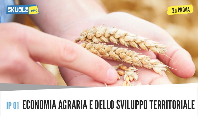 Economia agraria e dello sviluppo territoriale: traccia e soluzione seconda prova esame di maturità 2018 articolo