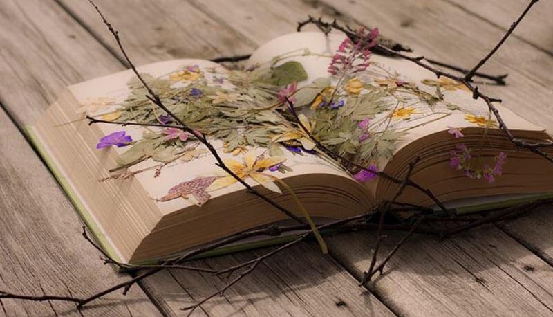 il tema dell'amore nelle poesie di Eugenio Montale