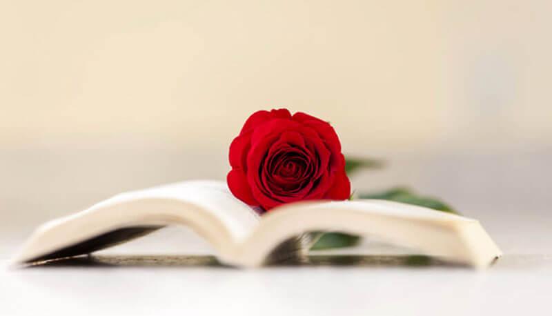 Giuseppe Ungaretti ed il tema dell'amore