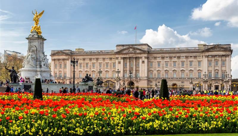ricerca su Buckingham Palace