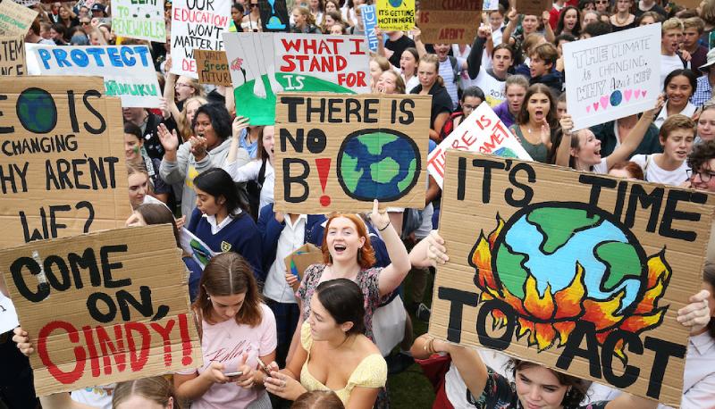fridays for future 29 novembre