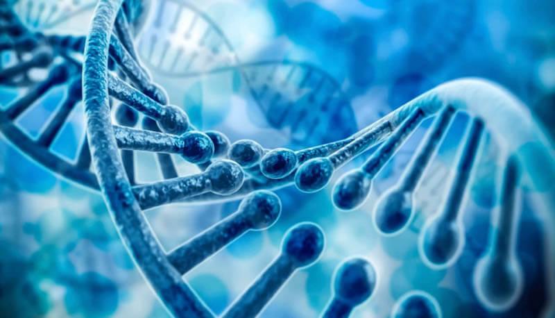 che cosa sono DNA, RNA e codice genetico