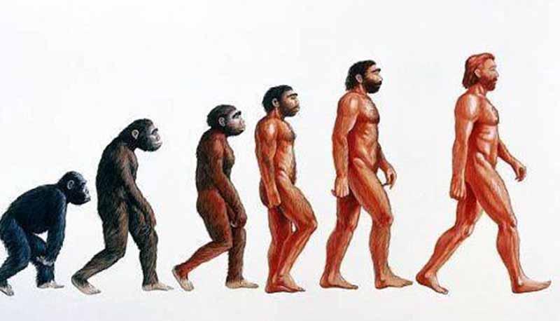 il processo di evoluzione dell'uomo