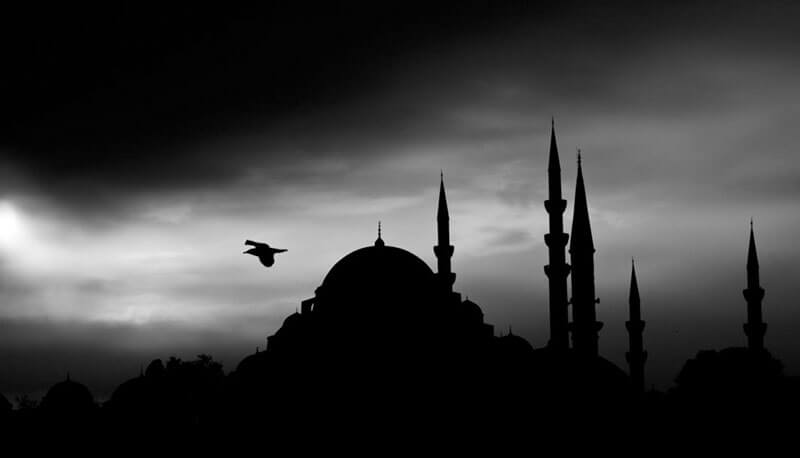 storia del fondamentalismo e dell'integralismo islamico
