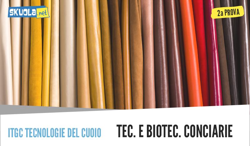 Traccia e Soluzione Seconda prova: Tecnologie e Biotecnologie Conciarie maturità 2018 articolo