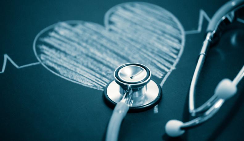 Come studiare Anatomia umana per esame universitario