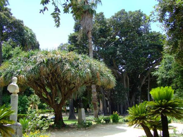 100 giorni maturità 2018: cosa fare a Palermo articolo