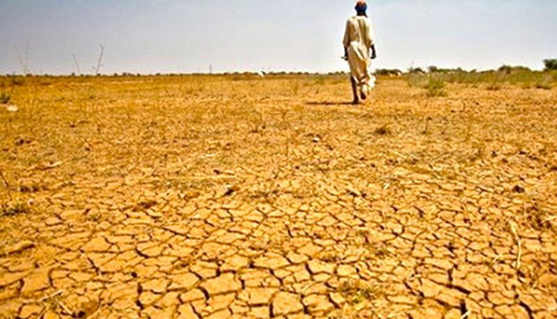 descrizione del grande problema della carestia nel mondo