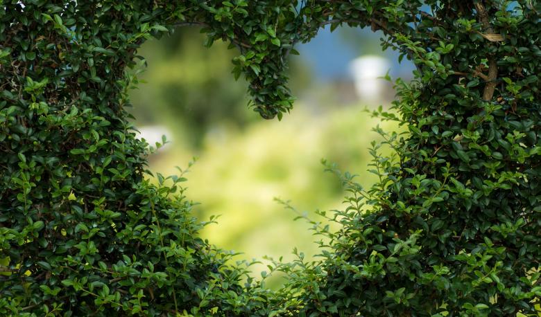 Come essere più eco friendly (per studenti universitari)