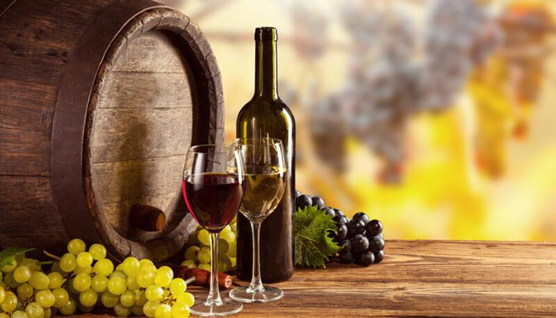 tesina di maturità sul vino e la sua produzione