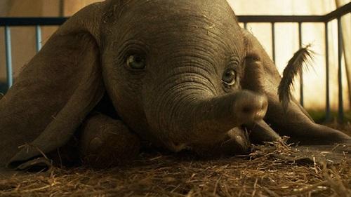Film al cinema a marzo 2019: cosa vedere e i 5 titoli da non perdere articolo