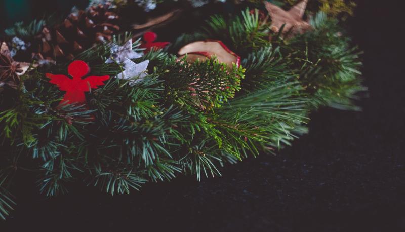 Significato della celebrazione dell'Immacolata Concezione